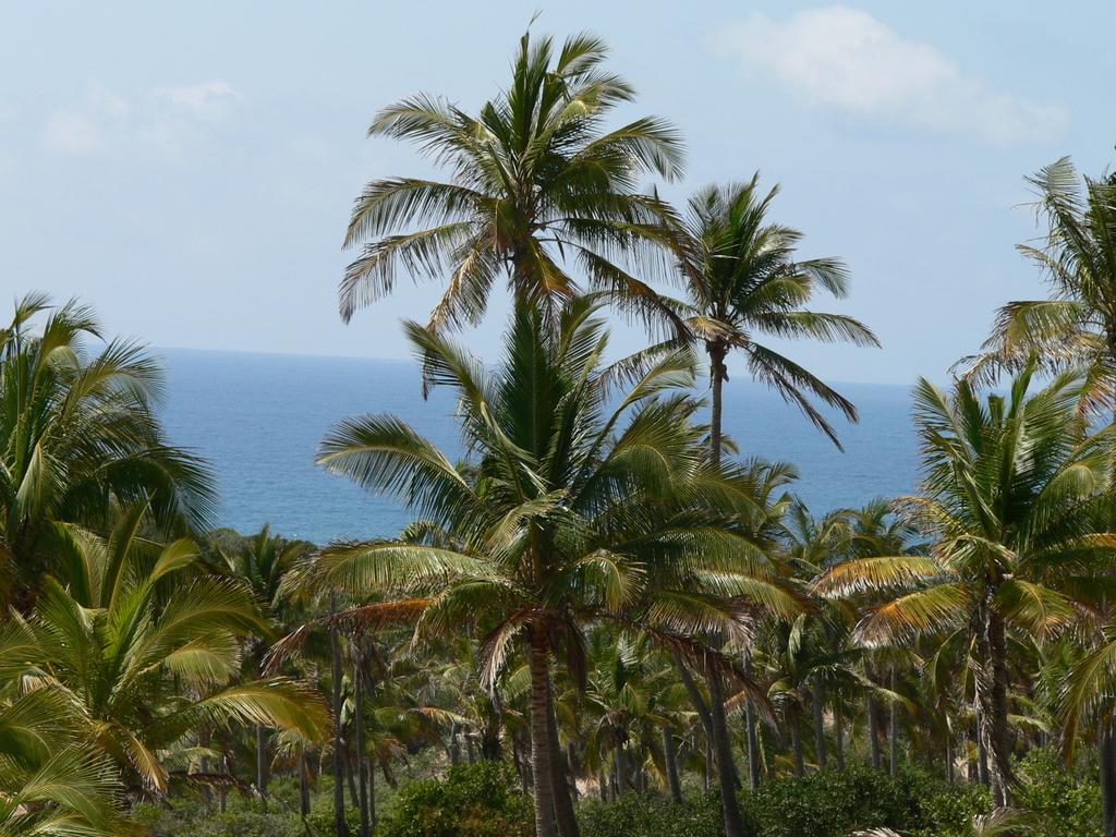 Blue Moon Beach Holiday Resort Inhambane Room photo